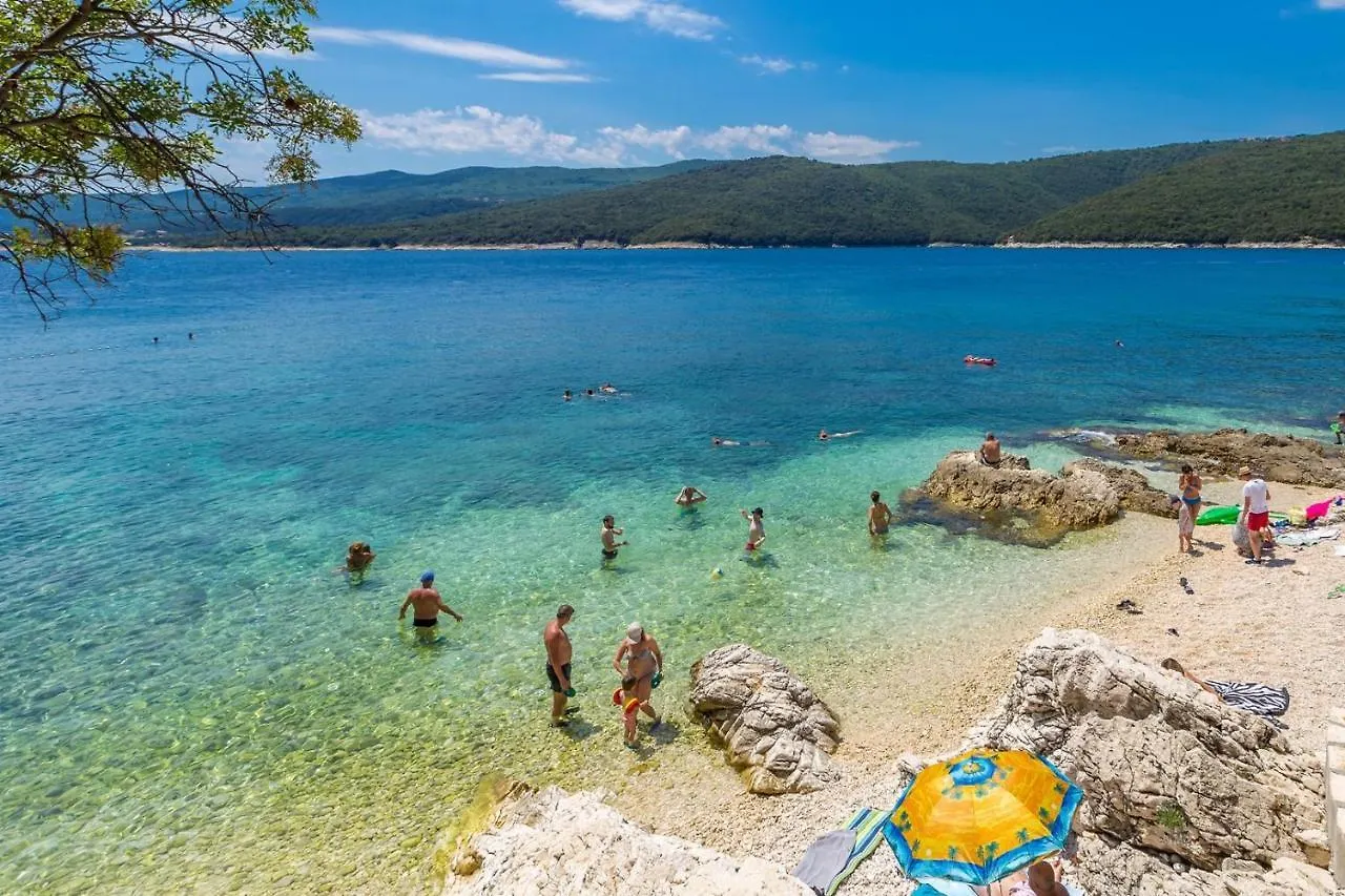 Holiday home Cozy Stone House Capree With Pool Villa Ripenda Kras